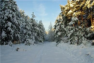 《异度之刃X：终极版》容量仅13.5GB 老任怎么做到的？